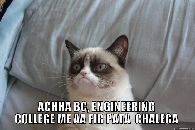  ACHHA BC, ENGINEERING COLLEGE ME AA FIR PATA  CHALEGA Grumpy Cat