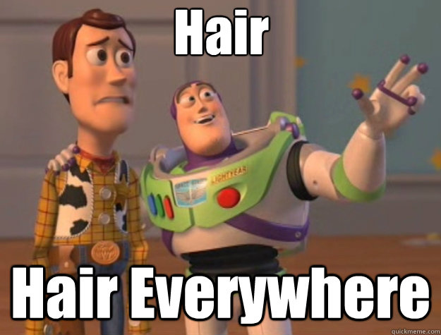 Hair Hair Everywhere - Hair Hair Everywhere  Toy Story