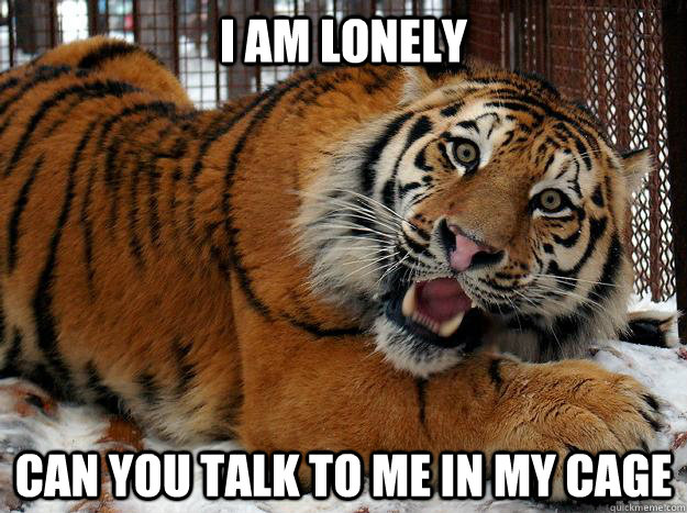 I am lonely can you talk to me in my cage  Fascinated Tiger