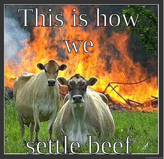 THIS IS HOW WE SETTLE BEEF Evil cows