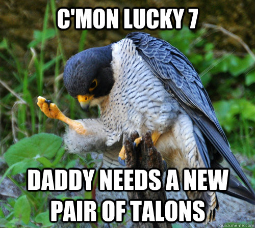 C'MON LUCKY 7 DADDY NEEDS A NEW PAIR OF TALONS - C'MON LUCKY 7 DADDY NEEDS A NEW PAIR OF TALONS  Crapshoot Falcon