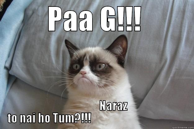 PAA G!!!                 NARAZ TO NAI HO TUM?!!!                                            Grumpy Cat