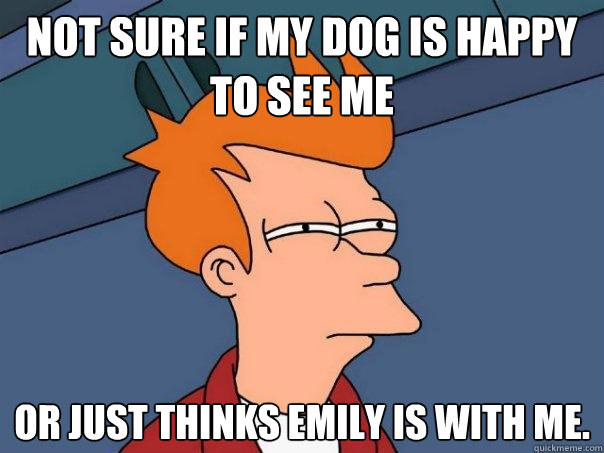 Not sure if my dog is happy to see me or just thinks Emily is with me.  Futurama Fry