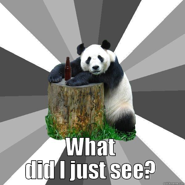   WHAT DID I JUST SEE? Pickup-Line Panda