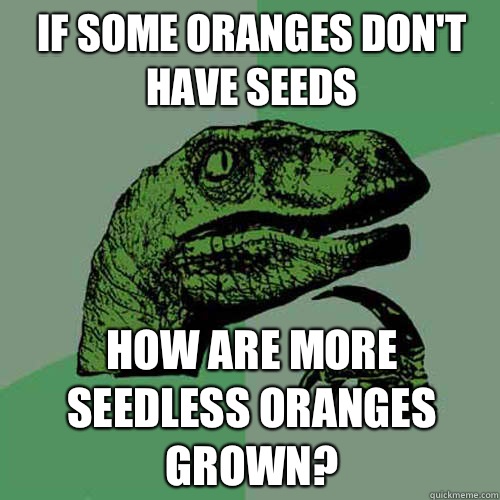 If some oranges don't have seeds How are more seedless oranges grown?  Philosoraptor