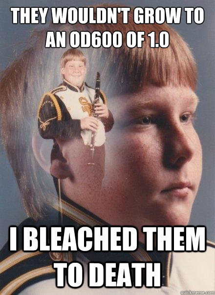 THey wouldn't grow to an Od600 of 1.0 I bleached them to death  PTSD Clarinet Boy