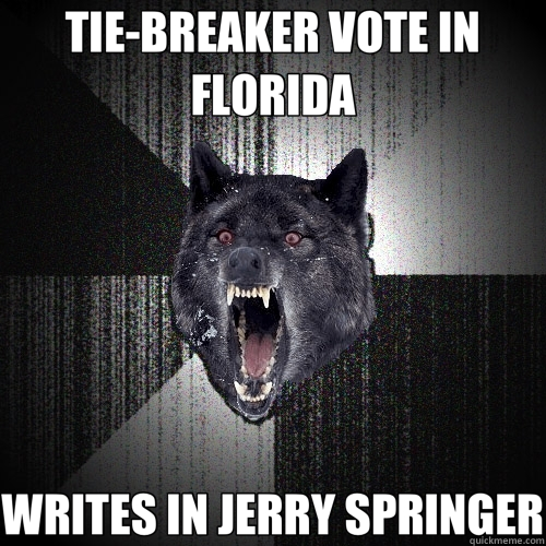 TIE-BREAKER VOTE IN FLORIDA WRITES IN JERRY SPRINGER  Insanity Wolf