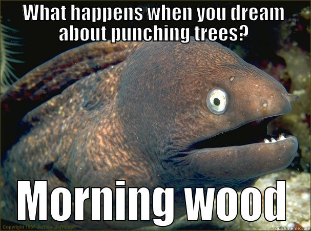 WHAT HAPPENS WHEN YOU DREAM ABOUT PUNCHING TREES? MORNING WOOD Bad Joke Eel