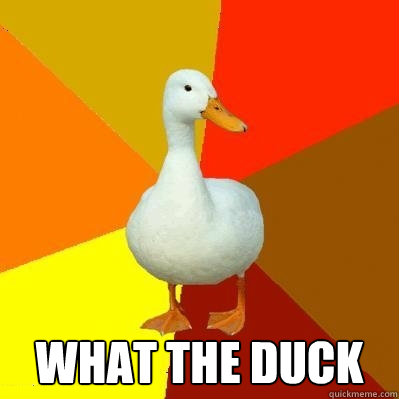  What the duck  Tech Impaired Duck