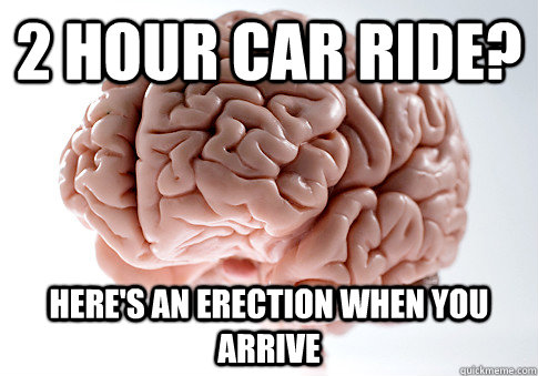 2 hour car ride? Here's an erection when you arrive - 2 hour car ride? Here's an erection when you arrive  Scumbag Brain