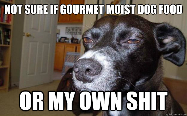 not sure if gourmet moist dog food or my own shit  Skeptical Mutt