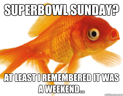 Superbowl Sunday? At least I remembered it was a weekend...  Forgetful Fish