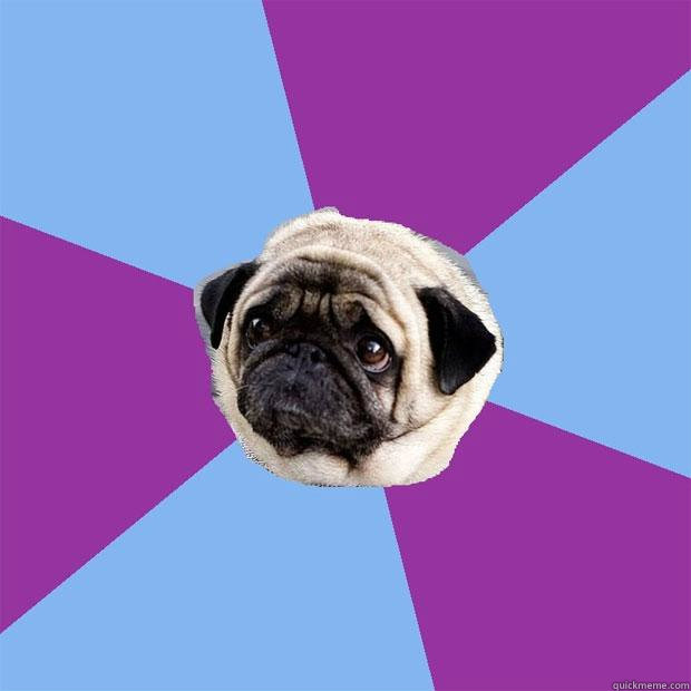   -    Lonely Pug