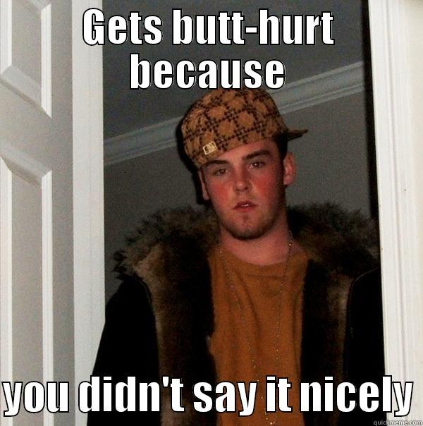 GETS BUTT-HURT BECAUSE  YOU DIDN'T SAY IT NICELY Scumbag Steve