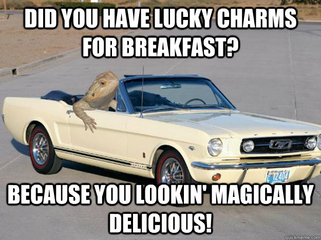 Did you have lucky charms for breakfast? Because you lookin' magically delicious!  Pickup Dragon