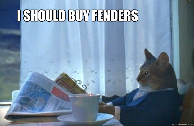 I should buy fenders  Sophisticated Cat