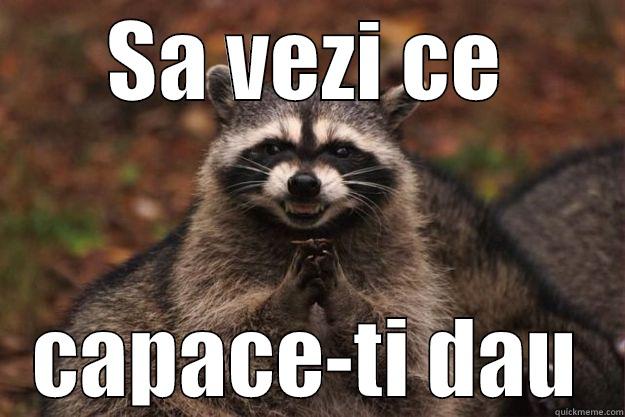 SA VEZI CE CAPACE-TI DAU Evil Plotting Raccoon