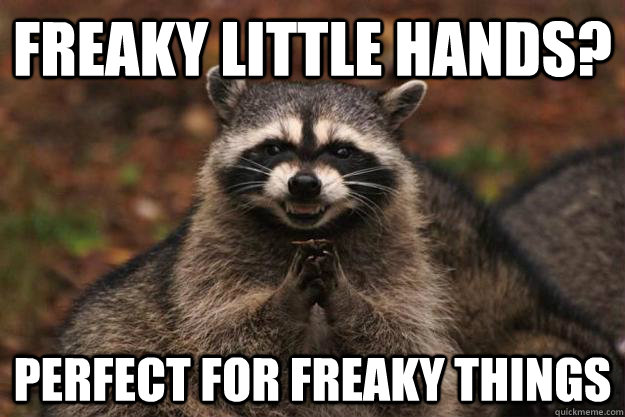 freaky little hands? perfect for freaky things  Evil Plotting Raccoon