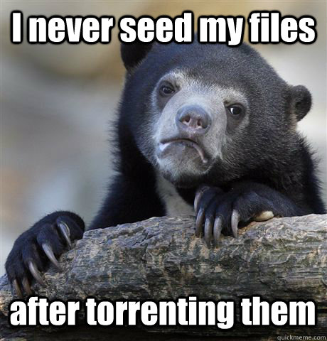 I never seed my files after torrenting them  Confession Bear