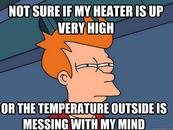 Not sure if my heater is up very high Or the temperature outside is messing with my mind - Not sure if my heater is up very high Or the temperature outside is messing with my mind  Futurama Fry