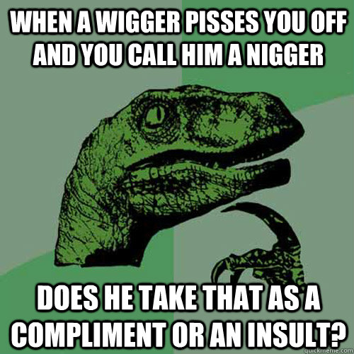 when a wigger pisses you off and you call him a nigger does he take that as a compliment or an insult?  Philosoraptor