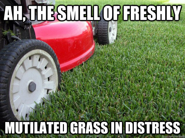 Ah, the smell of freshly mutilated grass in distress - Ah, the smell of freshly mutilated grass in distress  Grass in distress