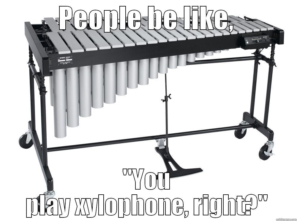 It's a xylophone? - PEOPLE BE LIKE, 