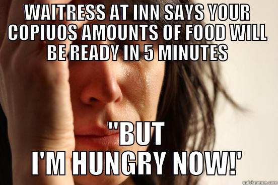 WAITRESS AT INN SAYS YOUR COPIUOS AMOUNTS OF FOOD WILL BE READY IN 5 MINUTES 