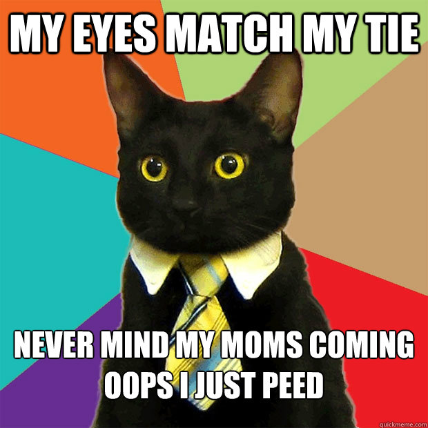 my eyes match my tie never mind my moms coming oops i just peed    Business Cat