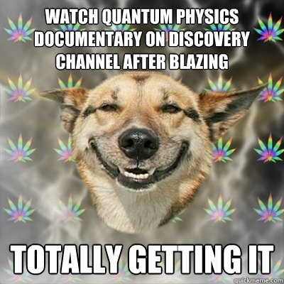 watch quantum physics documentary on discovery channel after blazing totally getting it - watch quantum physics documentary on discovery channel after blazing totally getting it  Stoner Dog