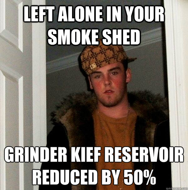 left alone in your smoke shed grinder kief reservoir reduced by 50% - left alone in your smoke shed grinder kief reservoir reduced by 50%  Scumbag Steve