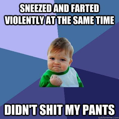 Sneezed and farted violently at the same time didn't shit my pants  Success Kid