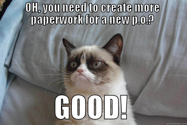 Paperwork for PO - OH, YOU NEED TO CREATE MORE PAPERWORK FOR A NEW P.O.? GOOD! Grumpy Cat