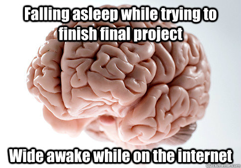 Falling asleep while trying to finish final project Wide awake while on the internet  Scumbag Brain