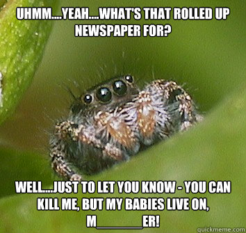 Uhmm....yeah....what's that rolled up newspaper for? Well....just to let you know - you can kill me, but my babies live on, m______er! - Uhmm....yeah....what's that rolled up newspaper for? Well....just to let you know - you can kill me, but my babies live on, m______er!  Misunderstood Spider