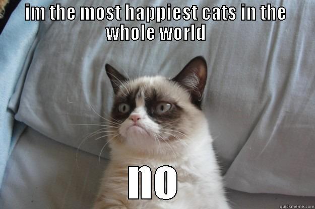 IM THE MOST HAPPIEST CATS IN THE WHOLE WORLD NO Grumpy Cat