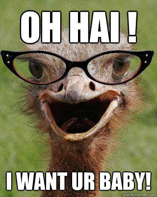 Oh Hai ! I want ur baby!  Judgmental Bookseller Ostrich