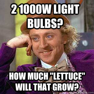 2 1000W light bulbs? How much 