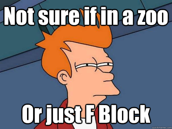 Not sure if in a zoo Or just F Block  - Not sure if in a zoo Or just F Block   Futurama Fry