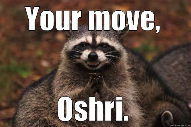 YOUR MOVE, OSHRI. Evil Plotting Raccoon