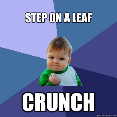 Step on a leaf Crunch  Success Kid