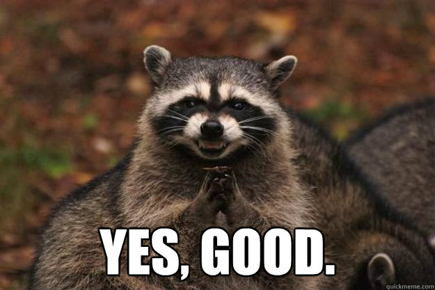  yes, good. -  yes, good.  Evil Plotting Raccoon