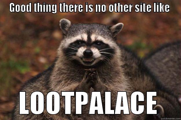 GOOD THING THERE IS NO OTHER SITE LIKE LOOTPALACE Evil Plotting Raccoon