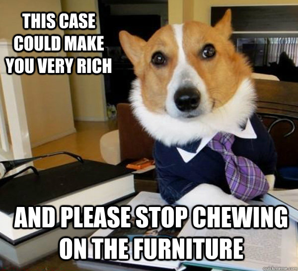 This case could make you very rich and please stop chewing on the furniture   Lawyer Dog