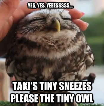 YES, yes, yeeesssss.... taki's tiny sneezes please the tiny owl  cute owl