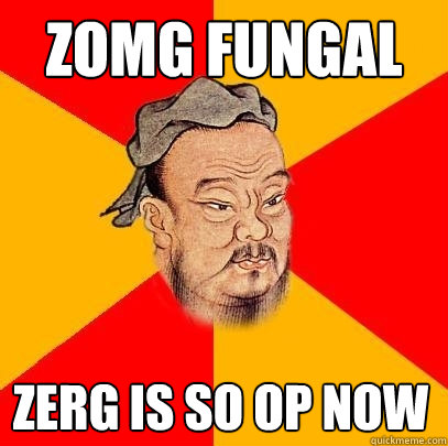 zomg fungal Zerg is so op now  Confucius says