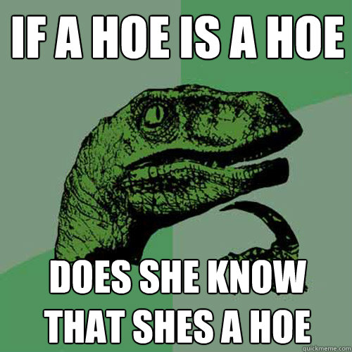 If a hoe is a hoe does she know that shes a hoe  Philosoraptor