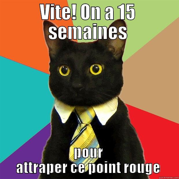 VITE! ON A 15 SEMAINES POUR ATTRAPER CE POINT ROUGE Business Cat