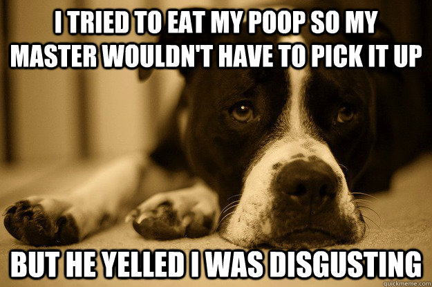 I tried to eat my poop so my master wouldn't have to pick it up but he yelled i was disgusting  