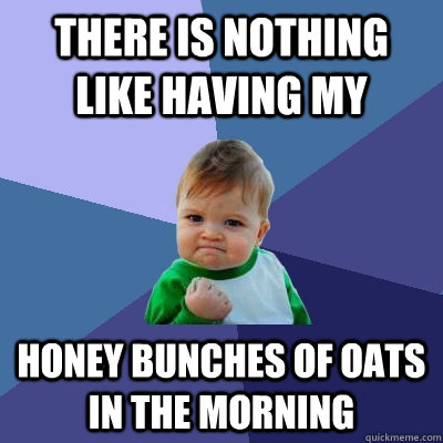 There Is nothing like having my Honey Bunches of Oats in the morning  Success Kid